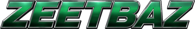 Zeetbaz লোগো